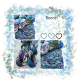 Secret Sock
