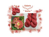 Anita Sock