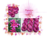Tipanier Sock