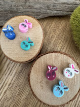 Minis prot.aig.cho7 Lapin