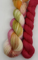 Kit *Multi-pied*