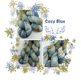 Cosy Blue Sock