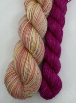 Kit*Coquille*