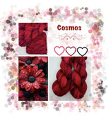 Cosmos Sock