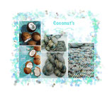 Coconut's Sock