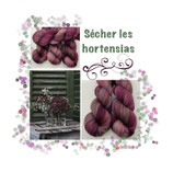 Sécher les hortensias Sock