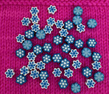 Minis prot.aig.cho7 Flocons
