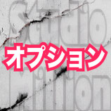 追加オプション項目