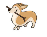 HundetrainerKompakt / Theorie & Praxis