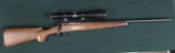 Savage Axis .243Win