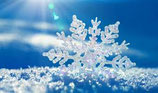 Elixir Hivernal