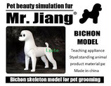 Bichon Model Dog 本体土台＋ホワイトウイック毛セット