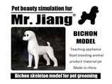 Bichon Model Dog本体土台