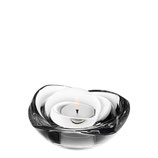Orrefors, Rose Windlicht