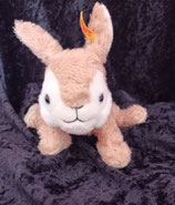 Steiff Hase / Rabbit  soo süüß liegend Beanie 281273