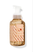 Handschaumseife Coconut Lime Verbena 259ml