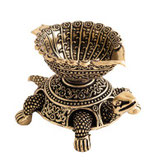 Gheelampe Schildkröte