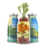Smoothie Trinkpause Ente