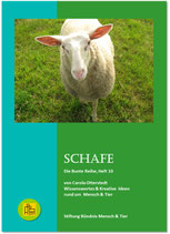 Schafe (Sonderpreis)