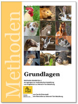 M1 Grundlagen (Sonderpreis)