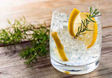 Gin Tasting (Sa. 31.01.2026)