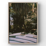BOTANICAL GARDEN OF LISSABON