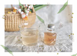 屋久島　月桃の花コーディアル (小瓶）