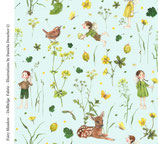 Feenwiese/ Fairy Meadow