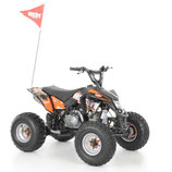 Hecht 54125 Orange Benzin Quad