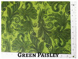 Green Paisley Pocket Mask