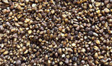 Sobacha japonais 100g