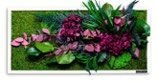 Pflanzenbild im Dschungeldesign mit roten Highlightpflanzen 57x27x4cm