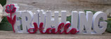 3D-Text "Hallo Frühling"