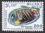 BEL-1528