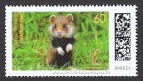 D-3608 - Junge Wildtiere: Feldhamster - 60
