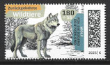 D-3920 - Für die Jugend: Wolf - 180+55