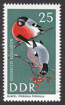 DDR-1275 - Geschützte Vogelarten - 25