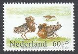 NDL-1247 - Wiesenvögel - 60+25