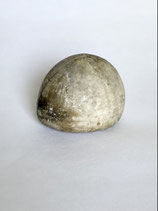 VERSTEINERTER SEEIGEL 3