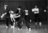 Chen Taijiquan Ballform nach Meister Shen Xijing