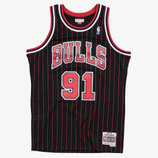 CHICAGO BULLS 95-96 - RODMAN