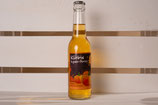 Kürbis-Ingwer Spritz