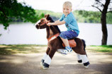 Mr Ed   Das Pony mit echtem Sound