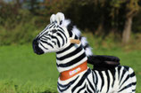 Das Zebra unter den Ponys