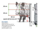 RETE ELETTRIFICATA  ANTICINGHIALI