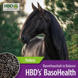 1,5 kg HBD´s® BasoHealth