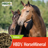 3,5/10/25 kg HBD´s® Horse Mineral