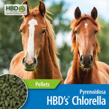 0,5/1 kg HBD´s® Chlorella Pyrenoidosa Pellets