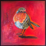 Rotes Rotkehlchen No 2