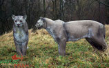 Natur Foam "Puma debout" Puma